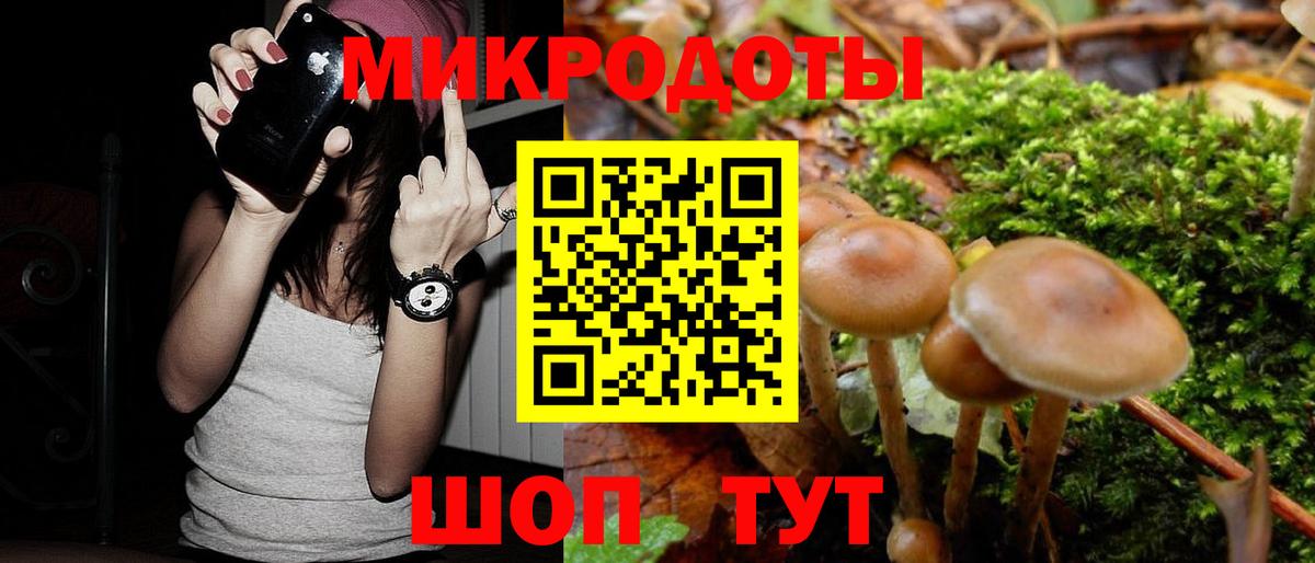Городец  Псилоцибиновые грибы Cubensis  Вход с VPN 